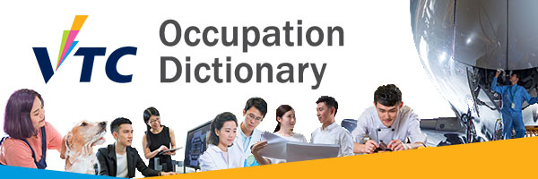 Occupation Dictionary
