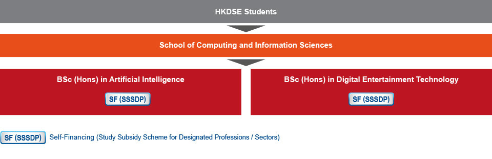 HKDSE students who are interested in studying IT-related programmes can apply for the BSc (Hons) in Artificial Intelligence (self-financing (Study Subsidy Scheme for Designated Professions / Sectors)) or BSc (Hons) in Digital Entertainment Technology (self-financing (Study Subsidy Scheme for Designated Professions / Sectors)) under the School of Computing and Information Sciences.