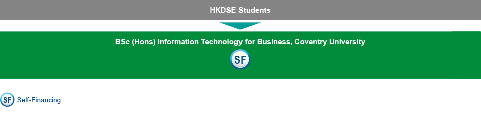 Under a 3-year curriculum, HKDSE students who are interested in studying IT-related programmes can choose to study the BSc (Hons) Information Technology for Business, Coventry University (self-financing)