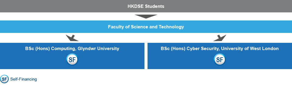 HKDSE students who are interested in studying IT-related programmes can apply for the BSc (Hons) Computing, Glyndwr University (self-financing), or the BSc (Hons) Cyber Security, University of West London (self-financing) under the Faculty of Science and Technology.