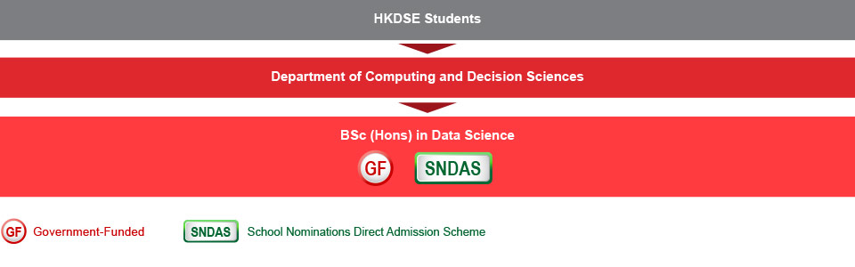 HKDSE students who are interested in studying IT-related programmes can apply for the Bachelor of Science (Honours) in Data Science (government-funded) under the Department of Computing and Decision Sciences.