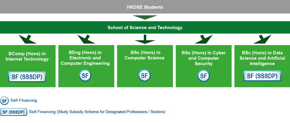 Under a 4-year curriculum, HKDSE students who are interested in studying IT-related programmes can apply for Bachelor of Computing with Honours in Internet Technology (self-financing (Study Subsidy Scheme for Designated Professions / Sectors)), Bachelor of Engineering with Honours in Electronic and Computing Engineering (self-financing), Bachelor of Science with Honours in Computer Science (self-financing), Bachelor of Science with Honours in Cyber and Computer Security (self-financing), or Bachelor of Science with Honours in Data Science and Artificial Intelligence (self-financing (Study Subsidy Scheme for Designated Professions / Sectors)) under the School of Science and Technology.