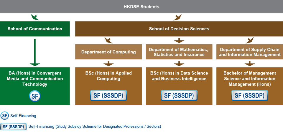 Under a 4-year curriculum, HKDSE students who are interested in studying IT-related programmes can choose to study the Bachelor of Arts (Hons) in Convergent Media and Communication Technology (BA-CMCT) (Self-financing) under the School of Communication, or choose among the three programmes under the School of Decision Sciences: the Bachelor of Science (Hons) in Applied Computing (BSC-AC) (Self-financing (Study Subsidy Scheme for Designated Professions / Sectors)) under the Department of Computing, the Bachelor of Science (Hons) in Data Science and Business Intelligence (BSC-DSBI) (Self-financing (Study Subsidy Scheme for Designated Professions / Sectors)) under the Department of Mathematics, Statistics and Insurance, and the Bachelor of Management Science and Information Management (Hons) (BMSIM) (Self-financing (Study Subsidy Scheme for Designated Professions / Sectors)) under the Department of Supply Chain and Information Management.
