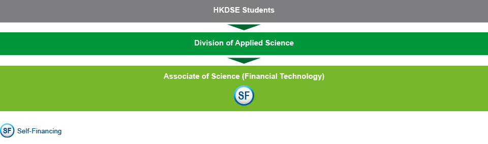 HKDSE students who are interested in studying IT-related programmes can choose to study the Associate of Science (Financial Technology) (Self-financing) under the Division of Applied Science.