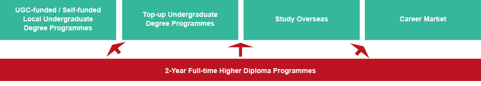 After completing the 2-year full-time Higher Diploma programmes, graduates can further their studies via UGC-funded/self-funded local undergraduate degree programmes, top-up undergraduate degree programmes, study overseas, or enter the career market.