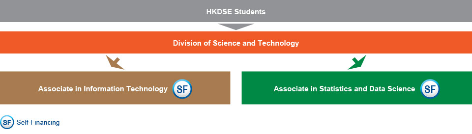 Under the Division of Science and Technology, HKDSE students who are interested in studying IT-related programmes can apply for either the Associate in Information Technology (self-financing), or the Associate in Statistics and Data Science (self-financing).