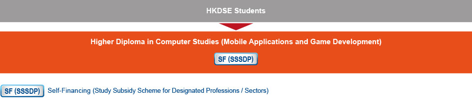 HKDSE students who are interested in studying IT-related programmes can apply for the Higher Diploma in Computer Studies (Mobile Applications and Game Development) (self-financing) under the Faculty of Higher Education.