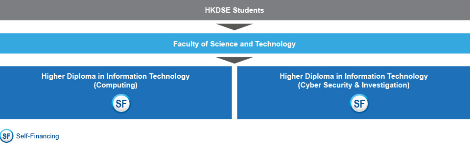 HKDSE students who are interested in studying IT-related programmes can apply for the Higher Diploma in Information Technology (Computing)(self-financing) or Higher Diploma in Information Technology (Cyber Security & Investigation)(self-financing) under the Faculty of Science and Technology
