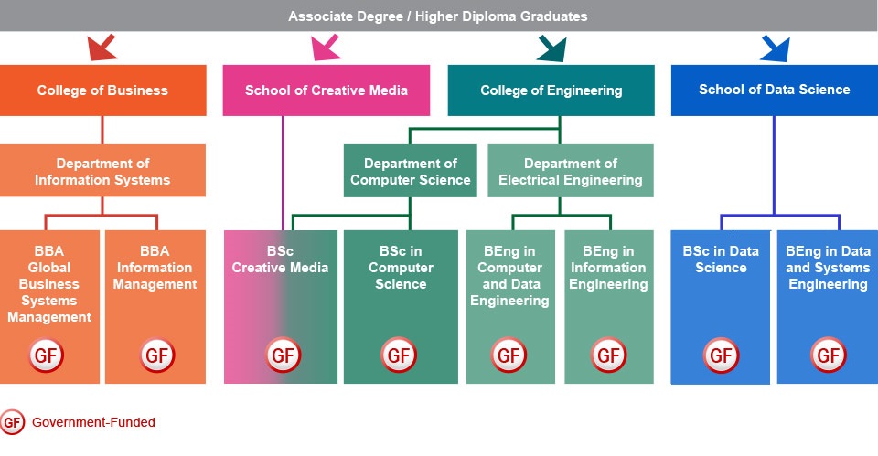 Relevant Associate Degree or Higher Diploma holders from a recognised institution who are interested in studying IT-related programmes can apply for either BBA Global Business Systems Management (government-funded), BBA Information Management (government-funded) from the Department of Information Systems under the College of Business, BSc Creative Media (government-funded) under the School of Creative Media, BSc in Computer Science (government-funded) from the Department of Computer Science under the College of Engineering, BEng in Computer and Data Engineering (government-funded), BEng in Information Engineering (government-funded) from the Department of Electrical Engineering under the College of Engineering, BSc in Data Science (government-funded) or BEng in Data and Systems Engineering (government-funded) under the School of Data Science.