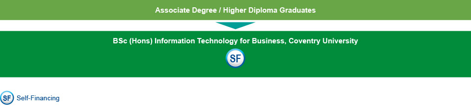 Associate degree / higher diploma graduates who are interested in studying IT-related programme can choose to study the BSc (Hons) Information Technology for Business, Coventry University (self-financing).