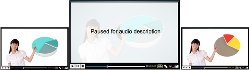 A webpage sample containing a video recording pausing to provide an extended audio explanation.