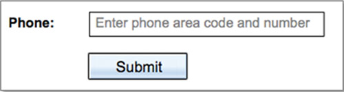 A web form sample with a form field containing instructions on the type of information expected.