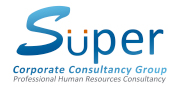 Super Corporate Consultancy Group的标志